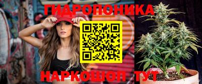 хмурый Жуковский