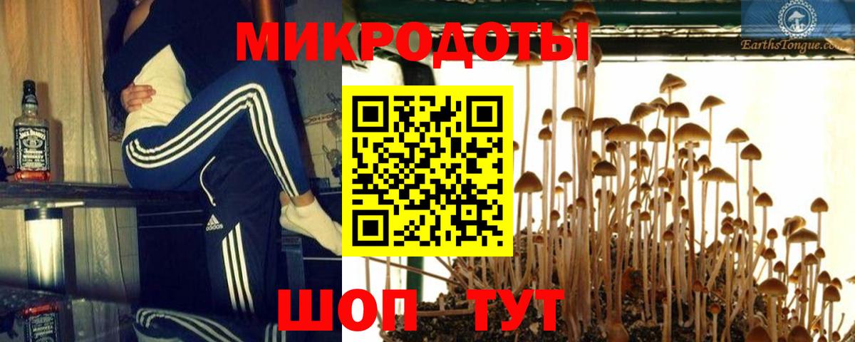 Людиново  Псилоцибиновые грибы ЛСД  Вход с VPN 